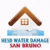 HESD Water Damage