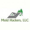 Mold Hackers