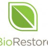 BioRestore Asbestos & Mold Removal