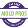 Bay Area Mold Pros