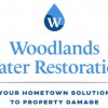 Woodlands Water Restoration