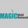 Magic Mold Removal