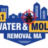 A1 Water & Mold Removal MA