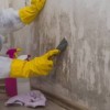 Advanced Mold Detection & Remediation Services