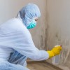 Mold Testing & Inspection Denver