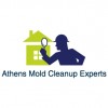 Athens Mold Cleanup Experts