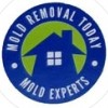 Mold Removal Today