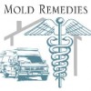 Mold Remedies